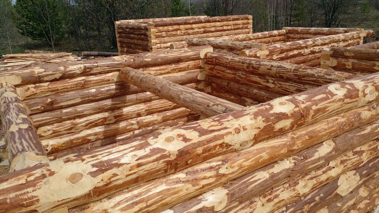 Рубим срубы. Сборка срубов. Монтаж кровли - Услуги в Екатеринбург - фото 2