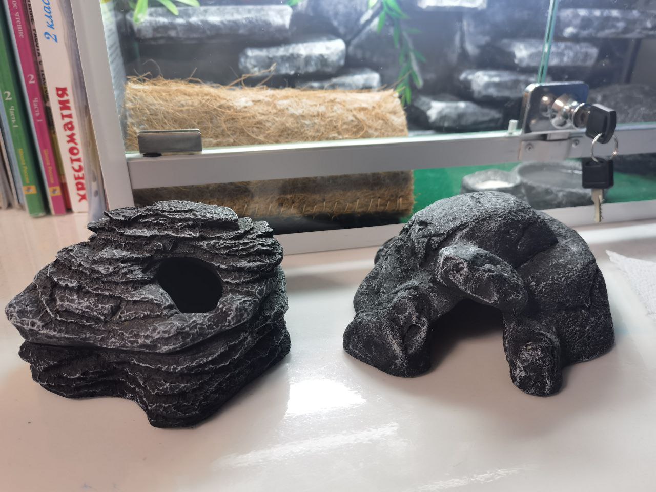 Продам укрытие и влажную камеру для рептилий - Животные в Екатеринбург - фото 2