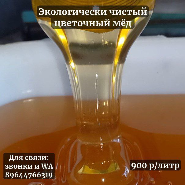 Свежеоткачанный цветочный мёд - Хобби и отдых в Хабаровск