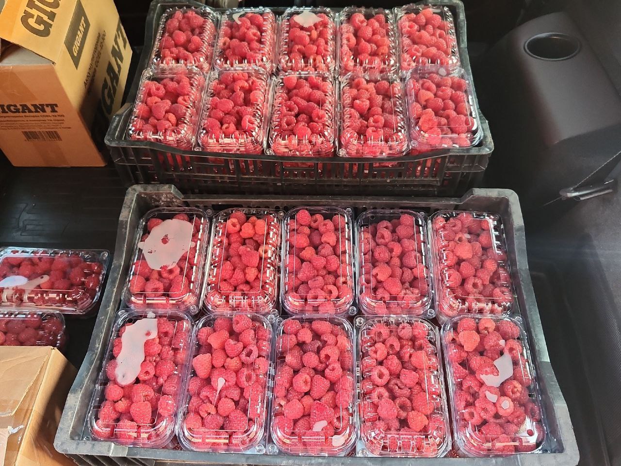 Свежезамороженные ягоды и зелень - частное объявление в Москва