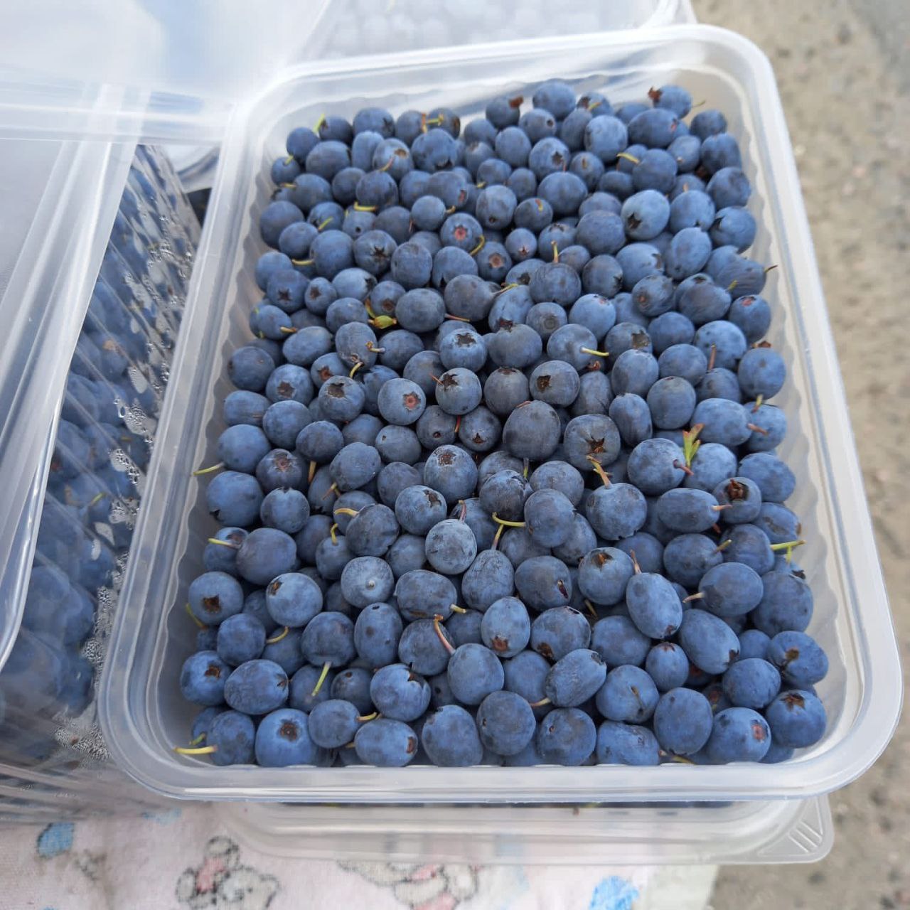 Свежезамороженные ягоды и зелень - Для дома и дачи в Москва - фото 2