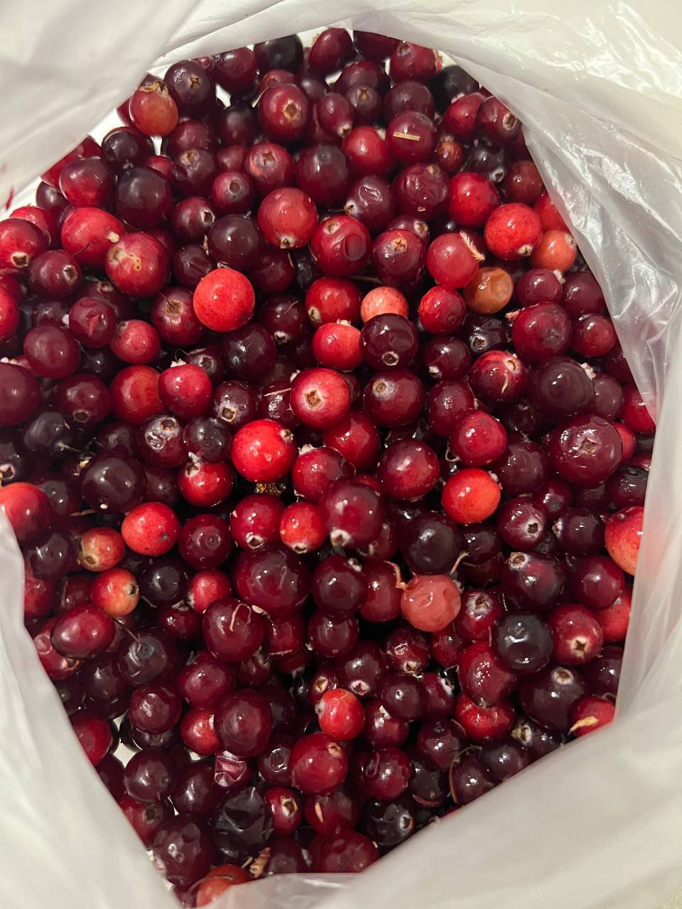 Свежезамороженные ягоды и зелень - Для дома и дачи в Москва - фото 4