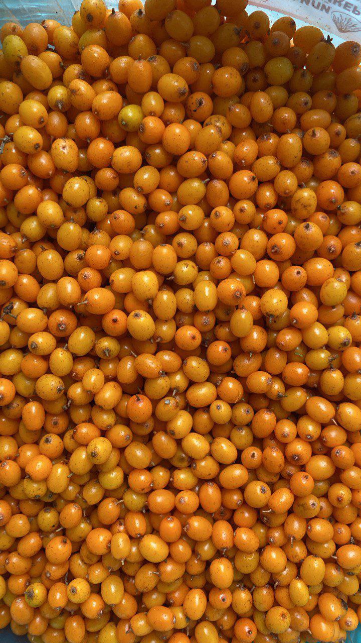 Свежезамороженные ягоды и зелень - Для дома и дачи в Москва - фото 5