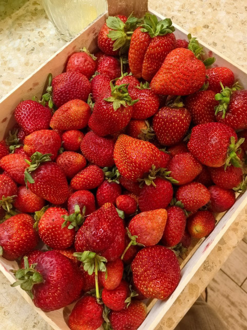 Свежезамороженные ягоды и зелень - Для дома и дачи в Москва - фото 6