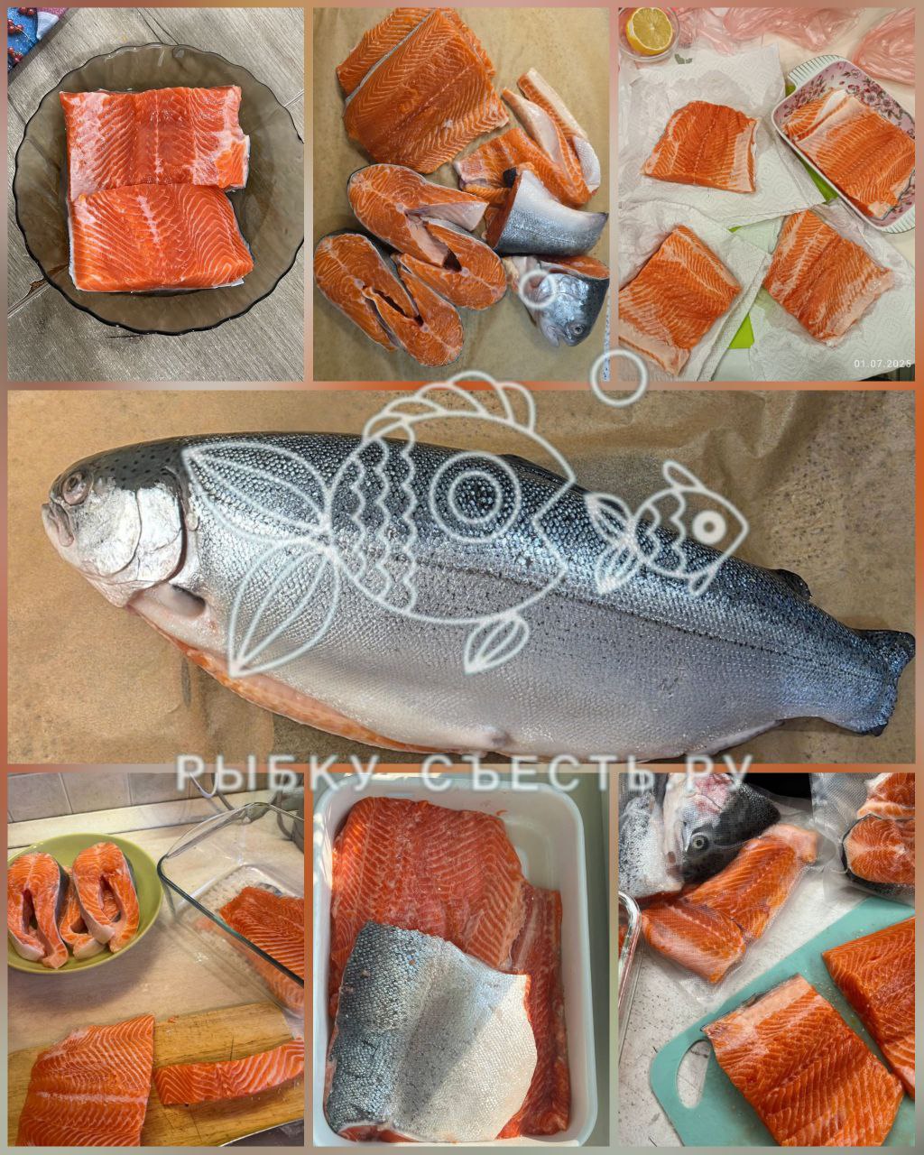 Акция на охлажденную форель - Хобби и отдых в Москва