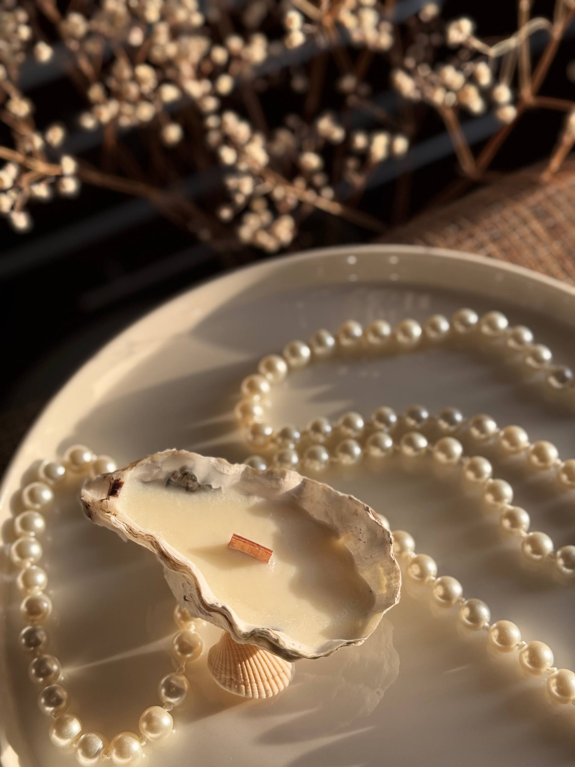 Свеча в раковине устрицы - Хобби и отдых в Москва