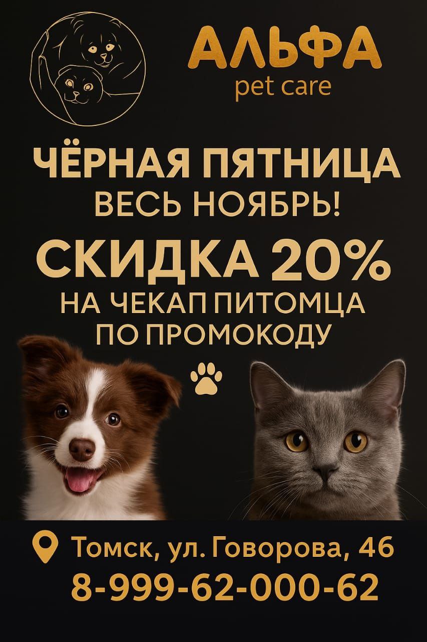Чёрная пятница в Альфа pet care - Животные в Томск