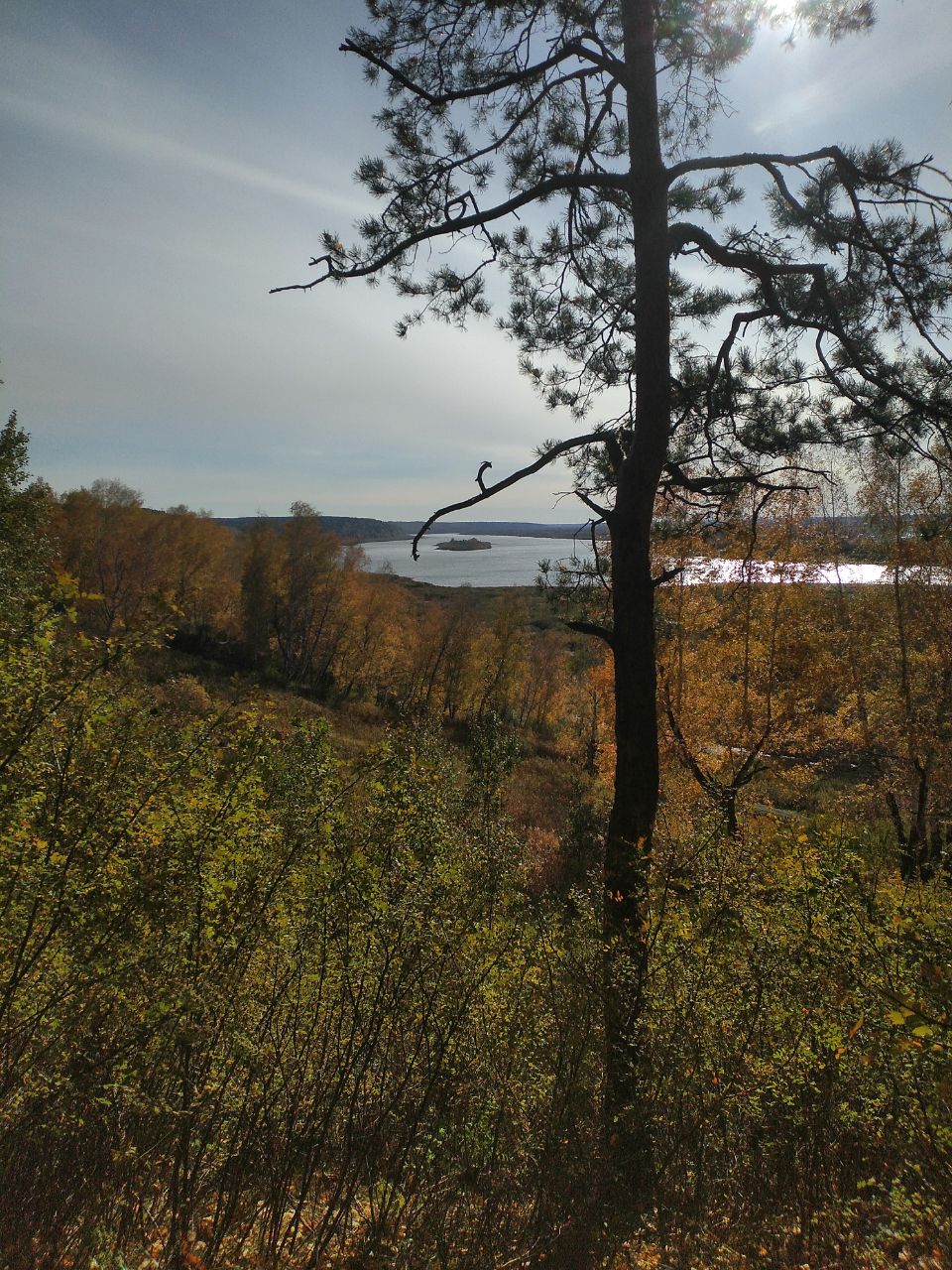Мастер-класс по фиточаям в ботанической квартире - Услуги в Томск
