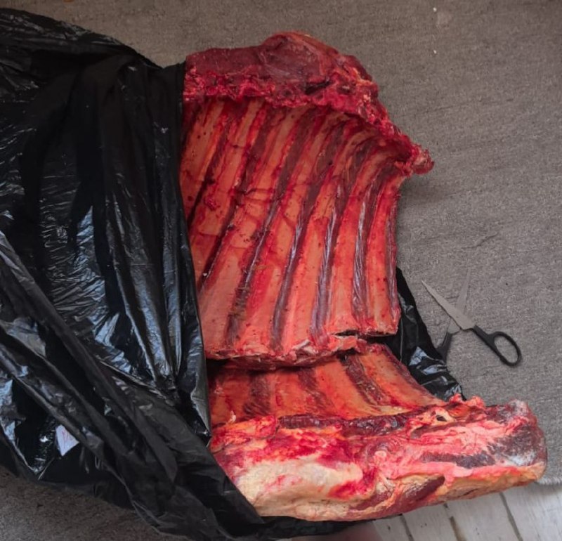 Продам мясо Говядины - Услуги в Томск