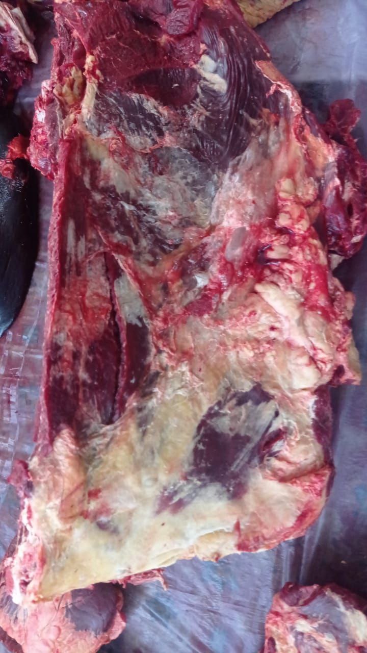 Продам мясо Говядины - Услуги в Томск - фото 3