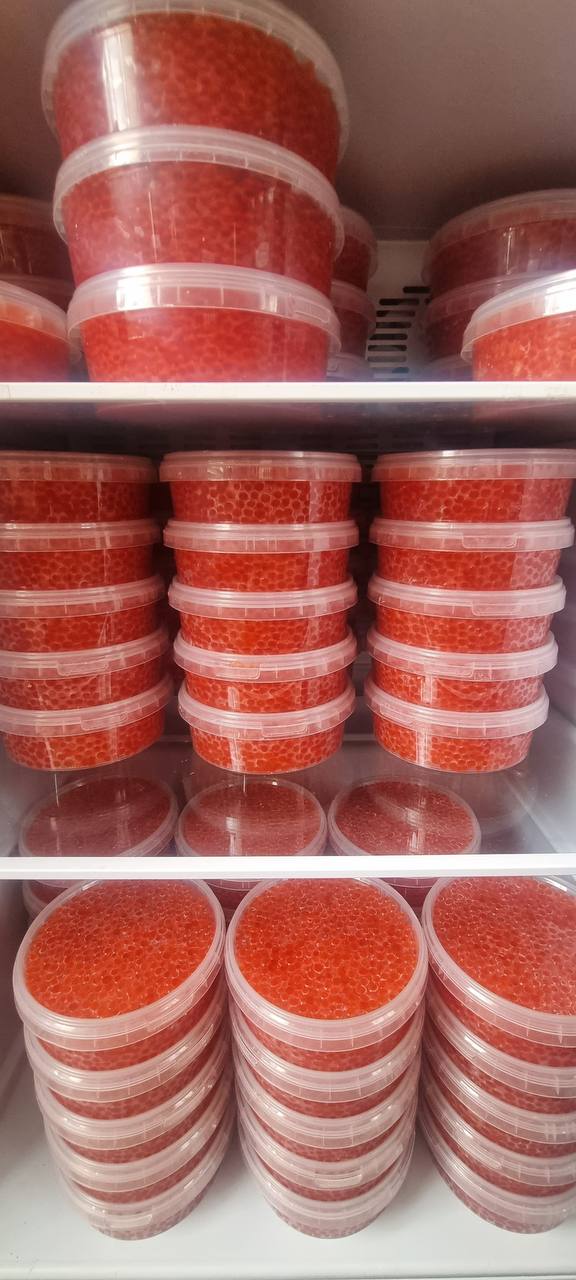 Икра горбуши вылов 2025 - Хобби и отдых в Краснодар - фото 2