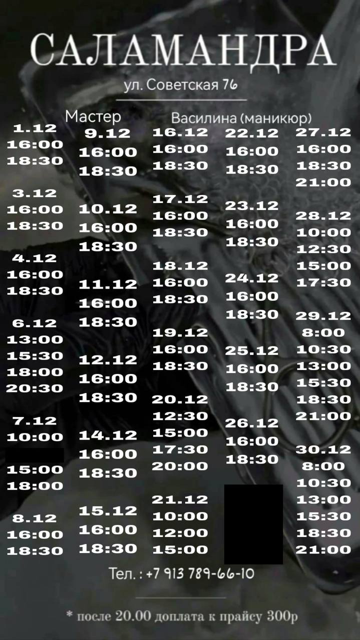 Запись на декабрь открыта - частное объявление в Бийск