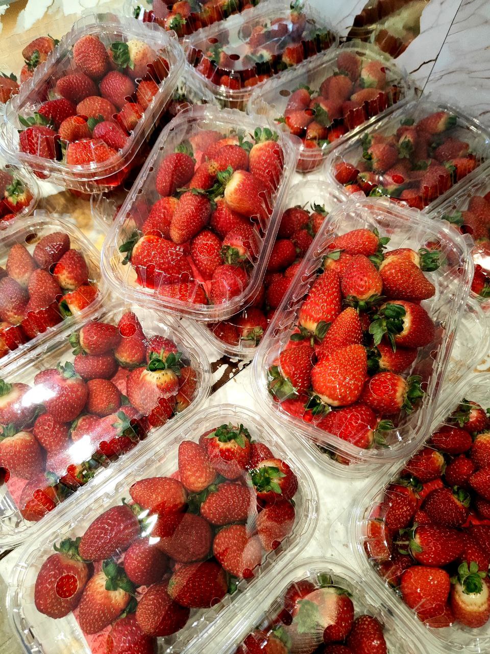 Свежая клубника для флористов и кондитеров - частное объявление в Бийск