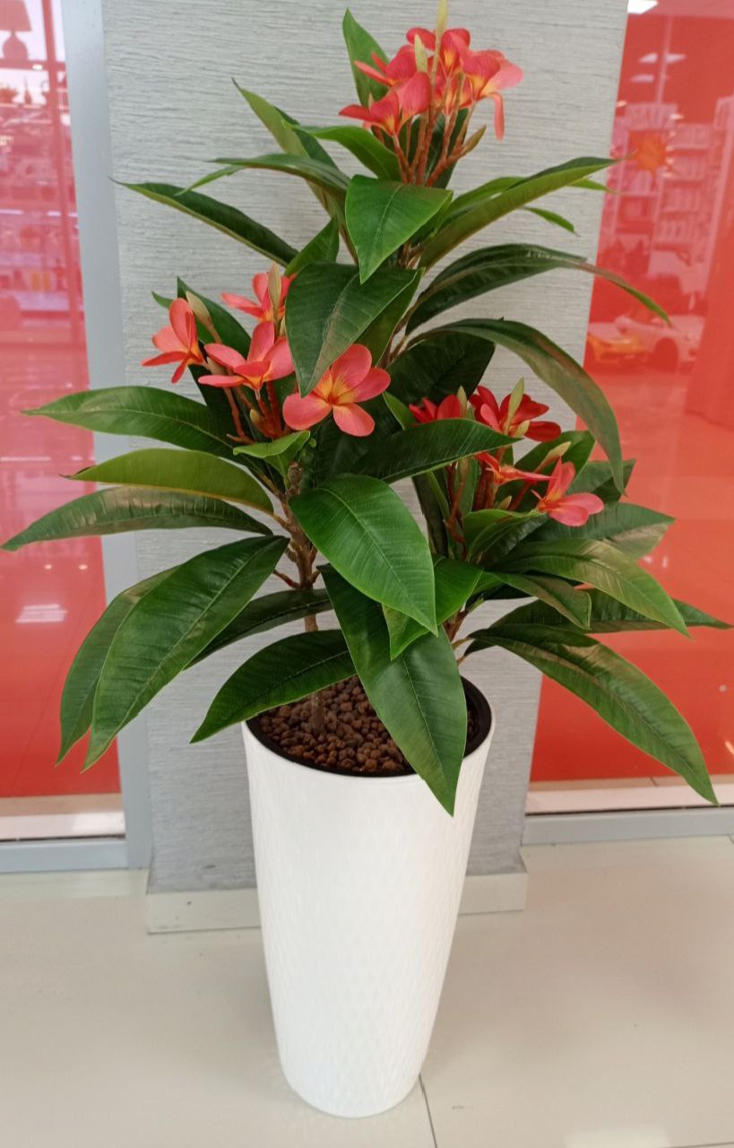 Распродажа искусственных цветов - Хобби и отдых в Краснодар