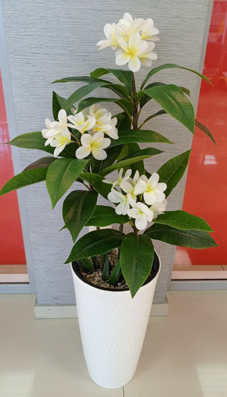 Распродажа искусственных цветов - Хобби и отдых в Краснодар - фото 4