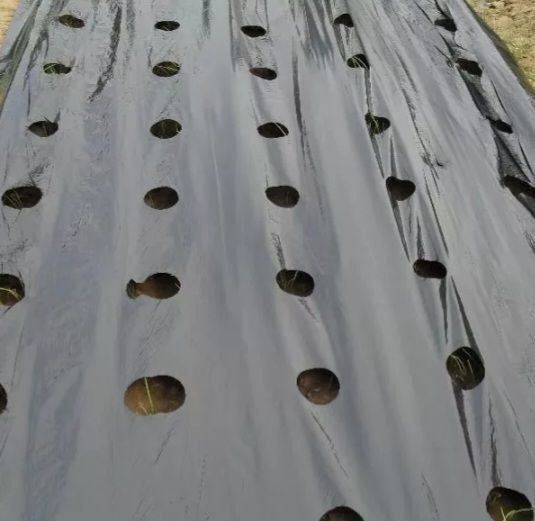 Материал для огорода - Для дома и дачи в Краснодар