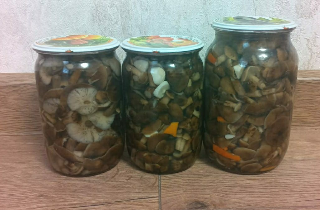 Продаются грибы опята - Хобби и отдых в Смоленская