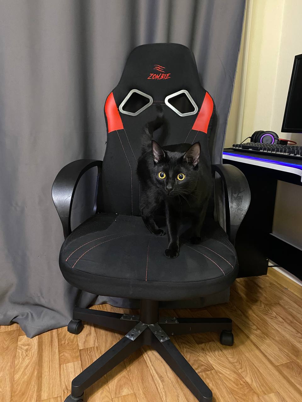 Продам срочно - Хобби и отдых в Балашиха - фото 3