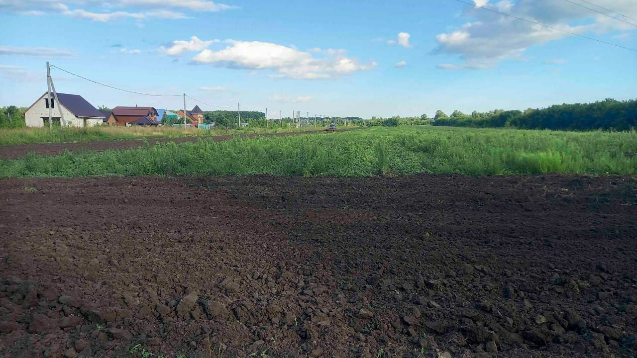 Продажа сельхоз земли в Барнауле - Недвижимость в Барнаул