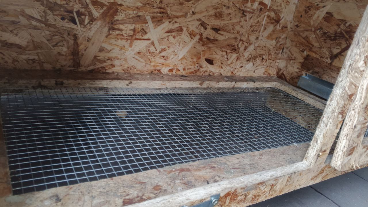 Брудер для цыплят с комплектацией - Животные в Киселёвск