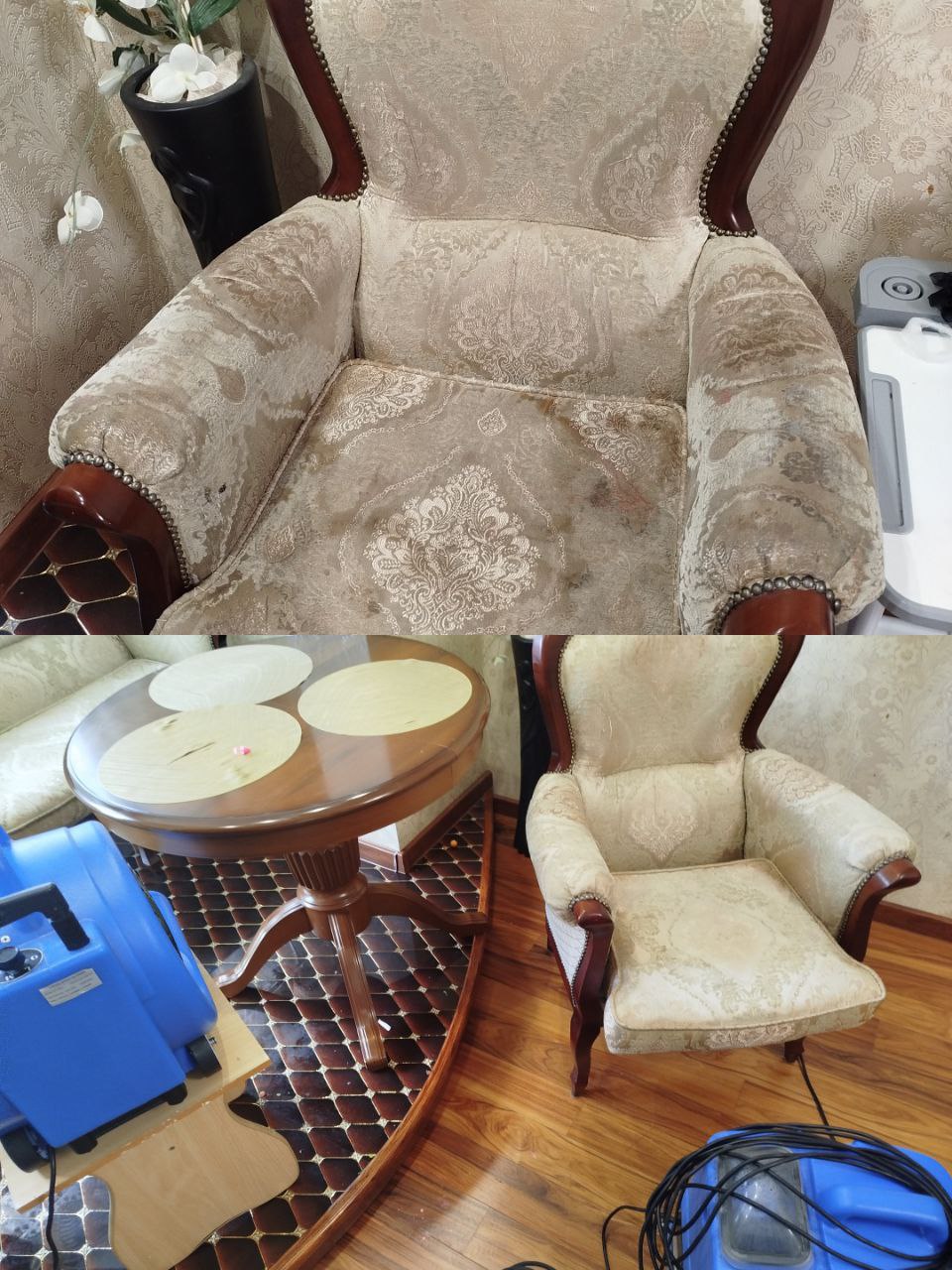 Профессиональная чистка мебели - Услуги в Новосибирск