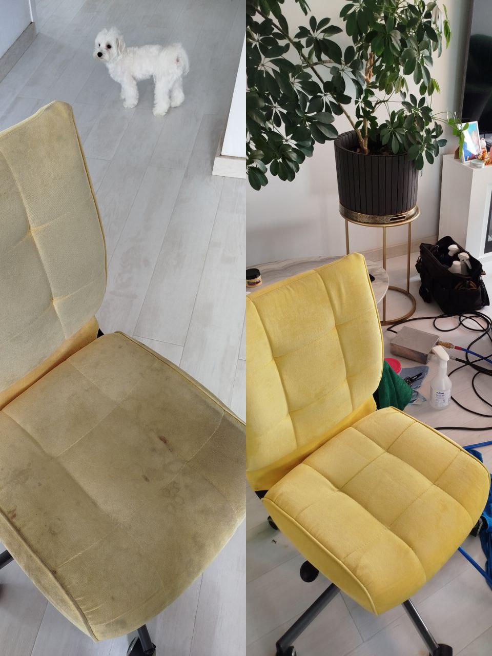 Профессиональная чистка мебели - Услуги в Новосибирск - фото 6