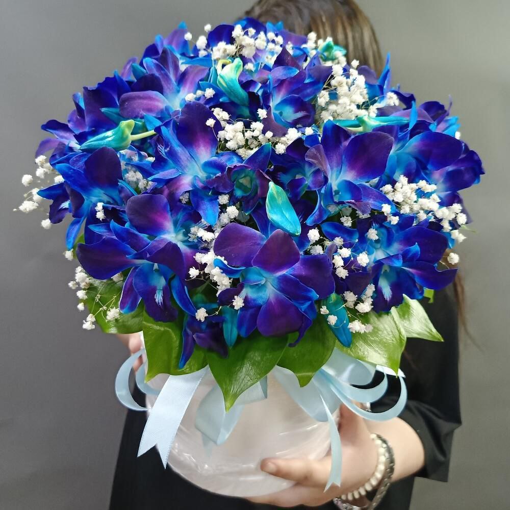 Орхидеи дендробиум - Хобби и отдых в Москва