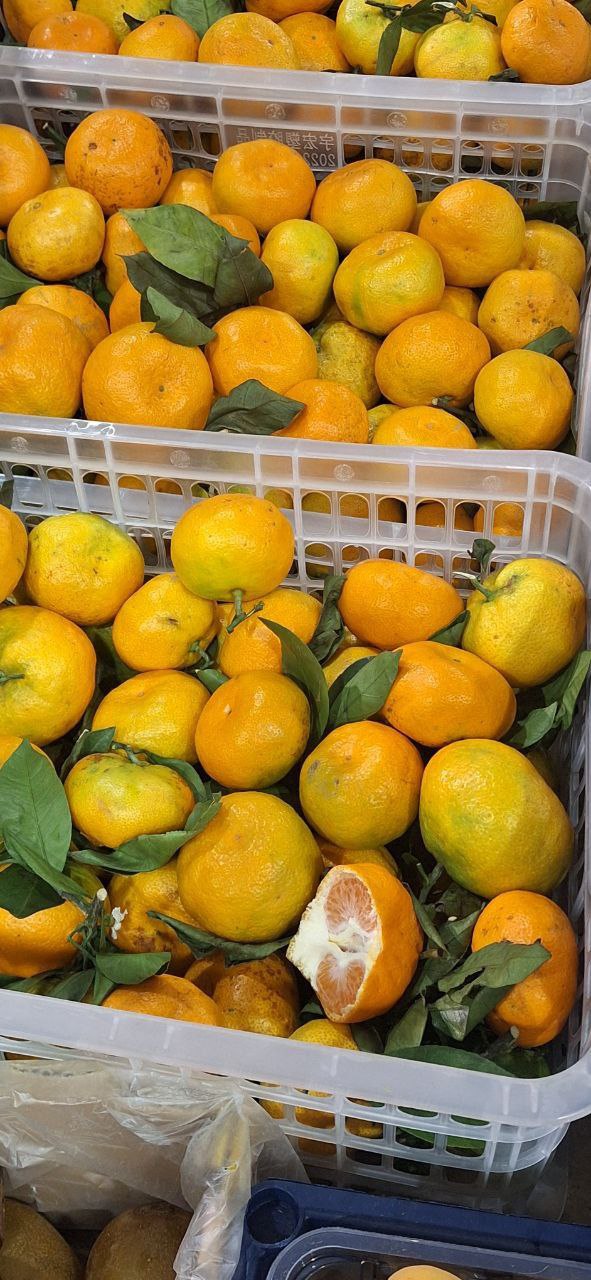 Грецкие орехи в шоколаде Тирамису и свежие продукты - Хобби и отдых в Москва - фото 3