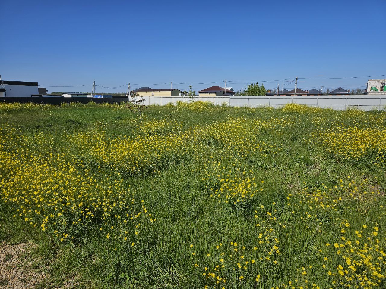 Продажа земельного участка в Старокорсунской - Недвижимость в Краснодар - фото 4