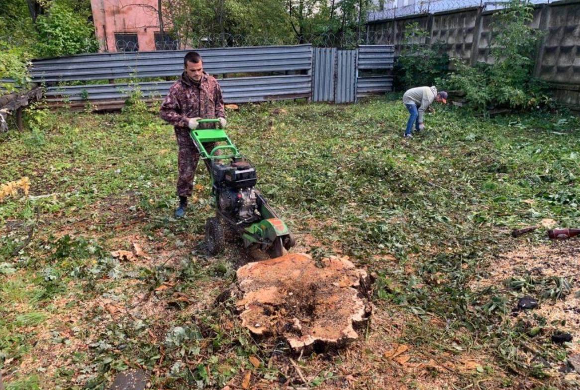 Расчистка участков любой сложности - Услуги в Краснодар