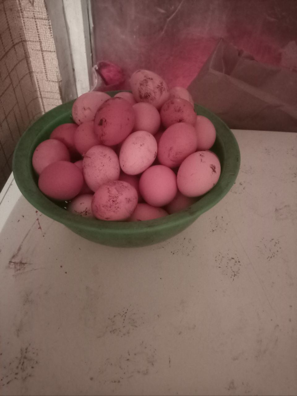 Продажа домашних куриных яиц - Животные в Белгород