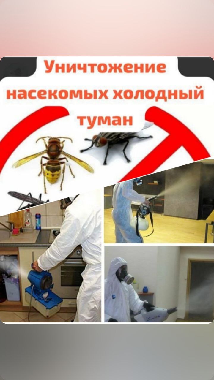 Услуги дезинсекции - частное объявление в Новокузнецк