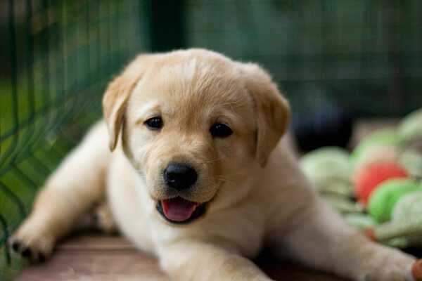 Осенняя акция бесплатной рекламы - Услуги в Москва