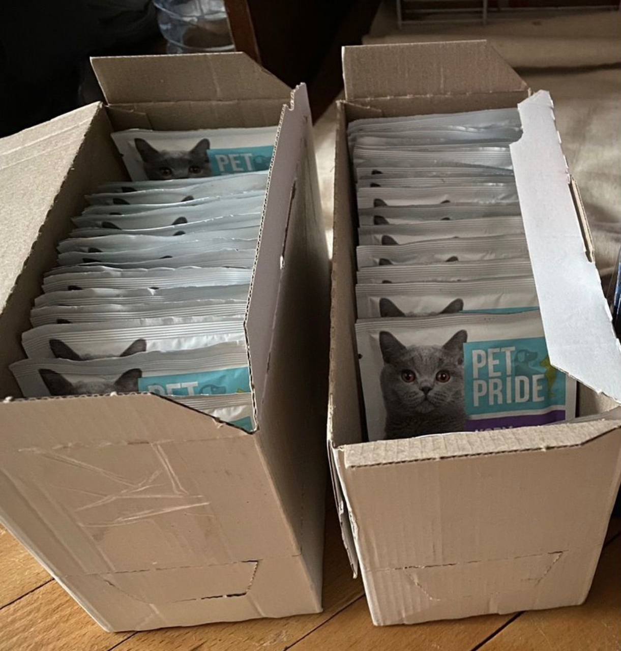 Влажный корм для взрослых стерилизованных кошек Pet Pride - частное объявление в Люберцы