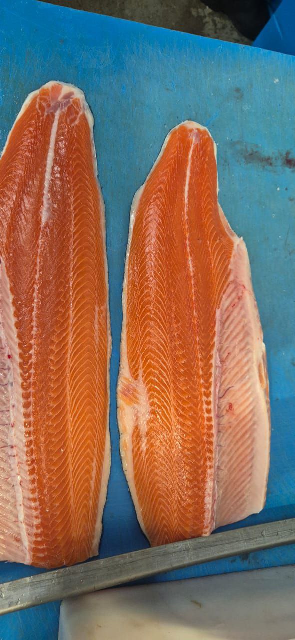 Продажа свежей Мурманской семги - Хобби и отдых в Люберцы - фото 3