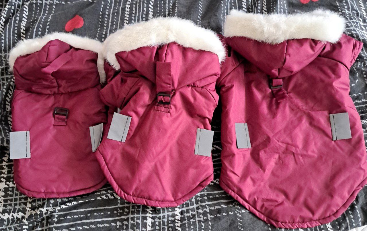 Курточки зимние для собак - частное объявление в Армавир