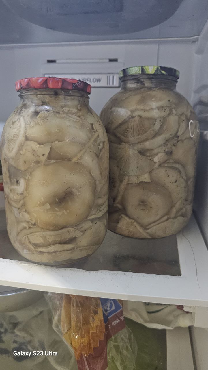 Продам грузди холодного засола - Хобби и отдых в Нижний Новгород - фото 3