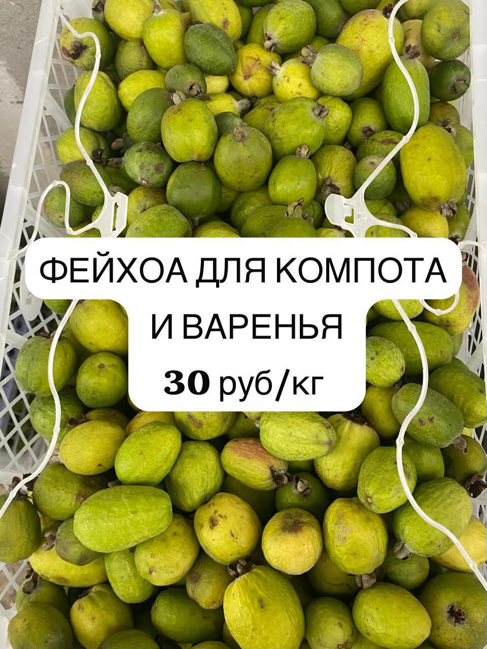 Фото от Александр Барахолка Южный берег Красноярск - Хобби и отдых в Красноярск