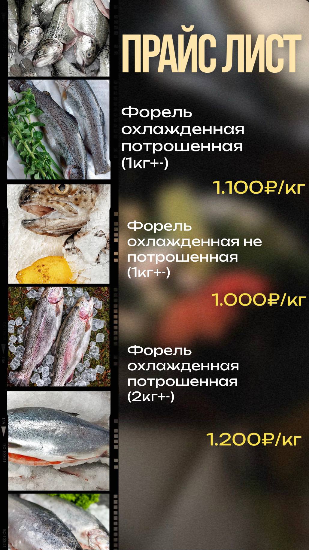 Продажа свежей форели - частное объявление в Тверь