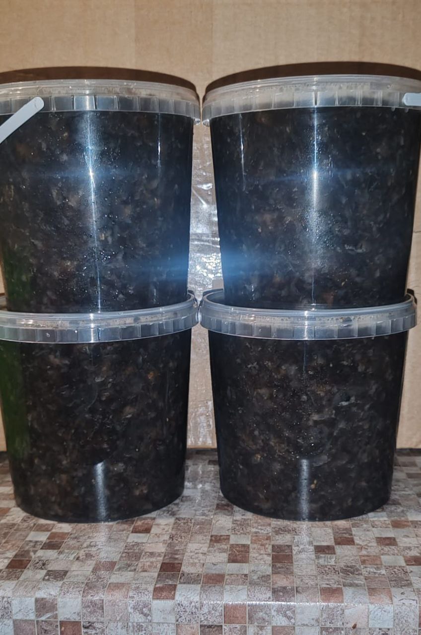 Трепанг на меду и в соевом соусе - Красота и здоровье в Владивосток