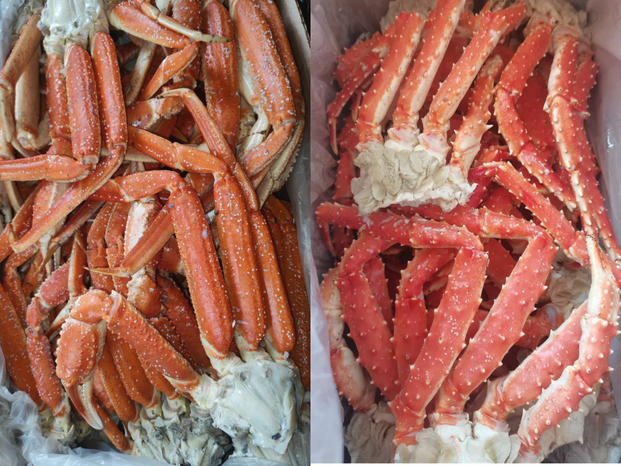 Продажа камчатского краба и краба-стригуна - Хобби и отдых в Владивосток