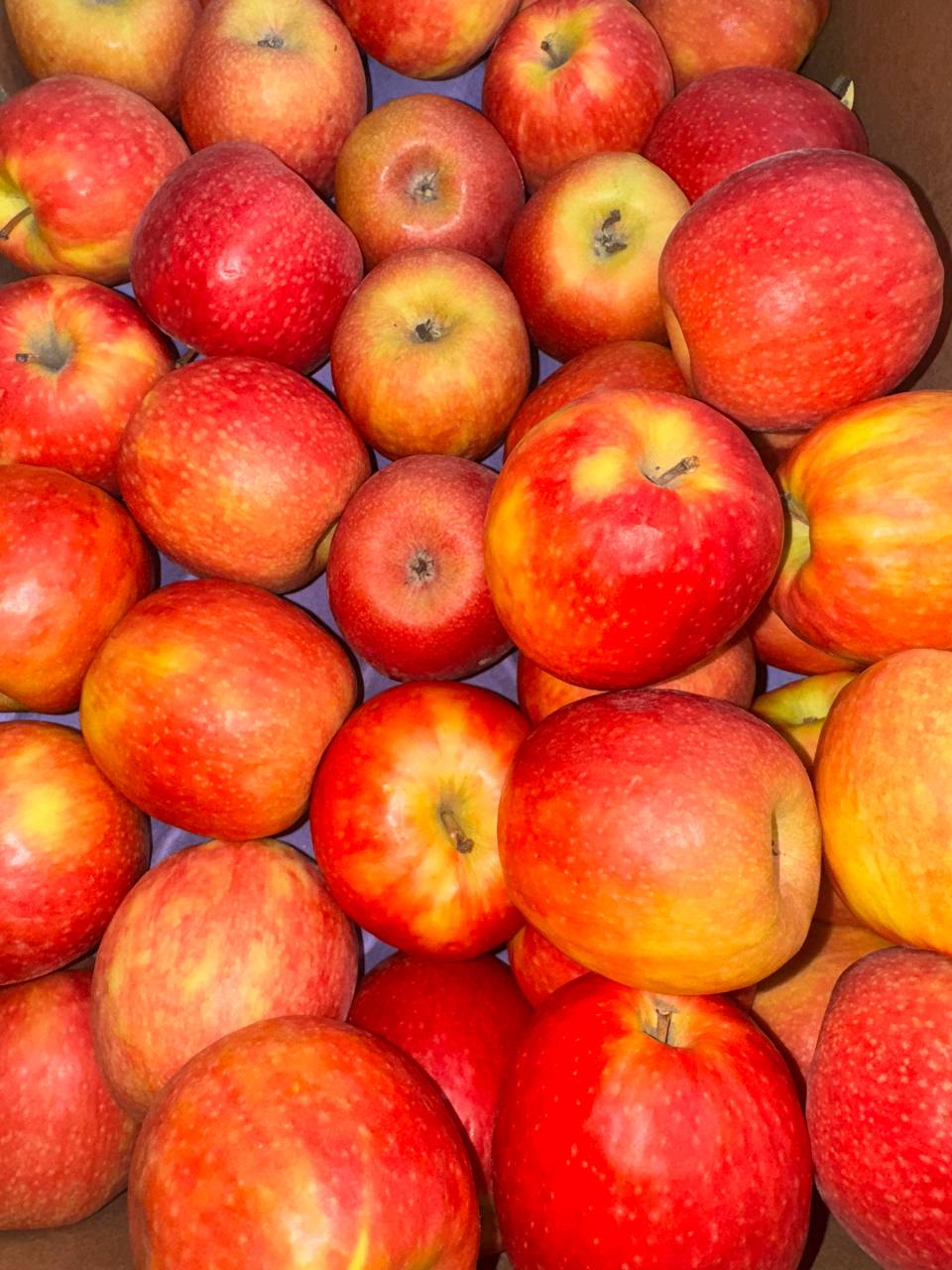 Свежие овощи с доставкой - Услуги в Санкт-Петербург - фото 5