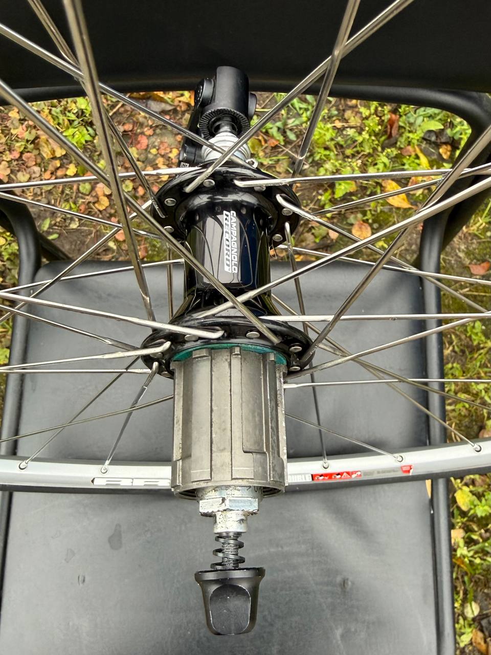 Колеса шоссе DT Swiss Campagnolo Record - частное объявление в Калининград