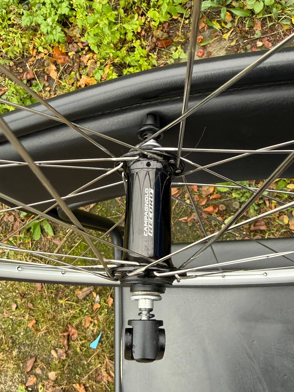 Колеса шоссе DT Swiss Campagnolo Record - Хобби и отдых в Калининград - фото 2