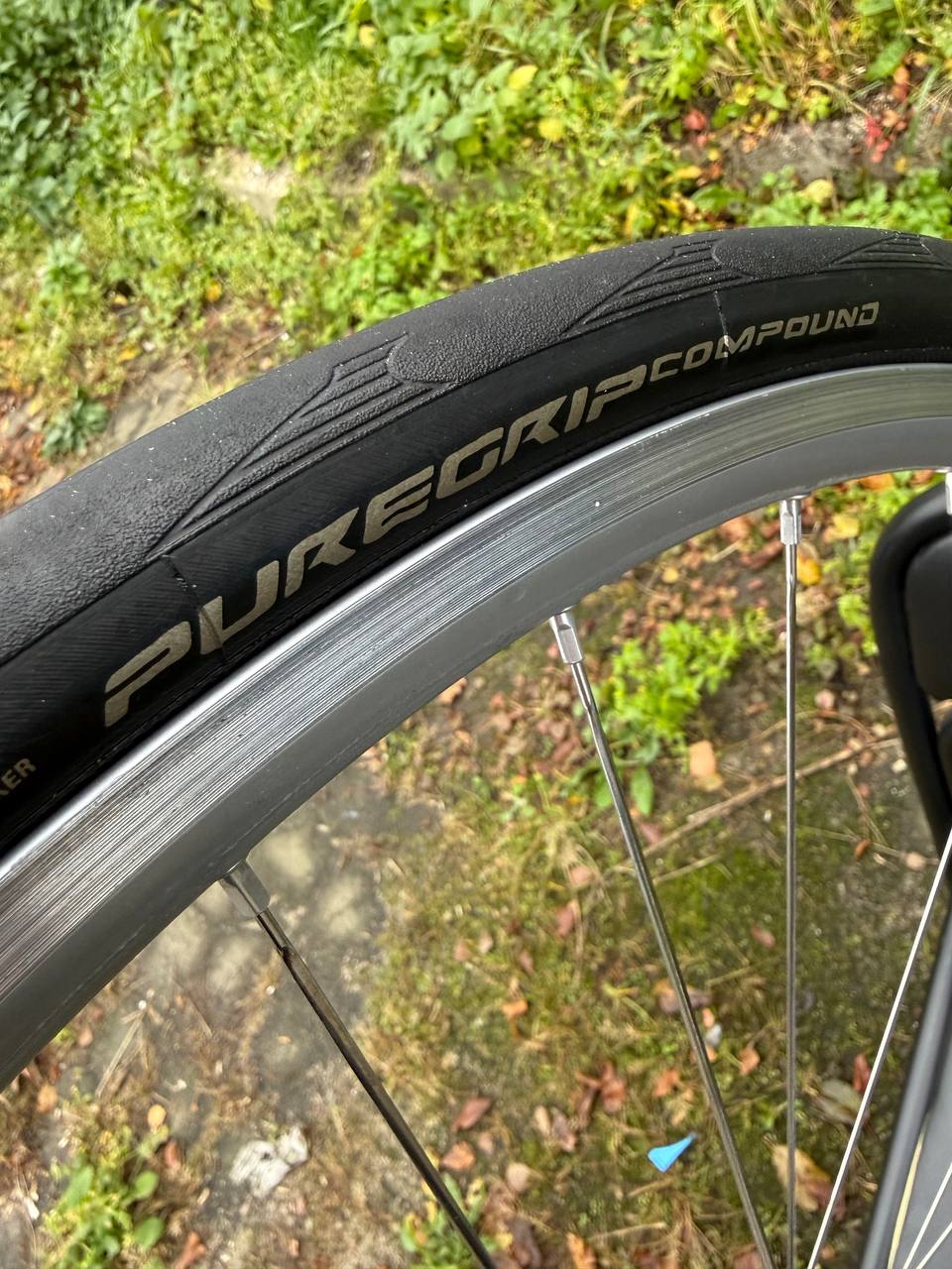 Колеса шоссе DT Swiss Campagnolo Record - Хобби и отдых в Калининград - фото 4