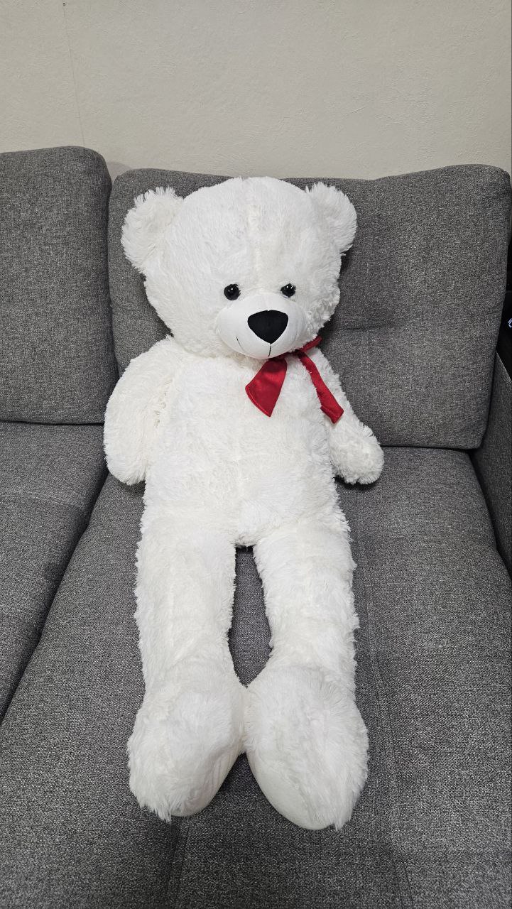 Продам медведя - Животные в Томск