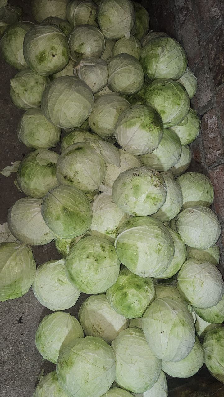 Успенское Армавир-Успенское ОБЪЯВЛЕНИЯ - частное объявление в Армавир