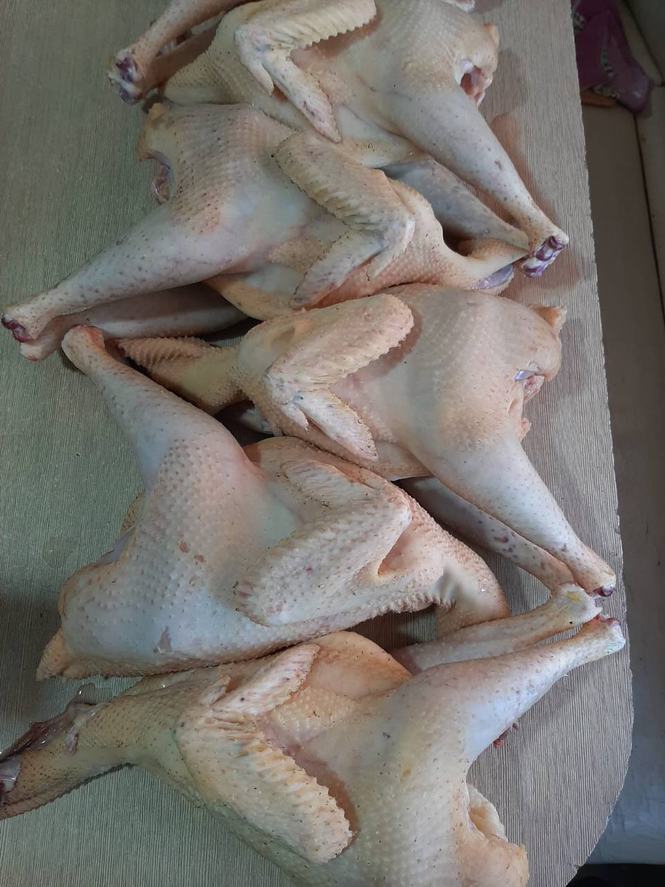 Продаются молодые домашние петушки - частное объявление в Армавир-Успенское