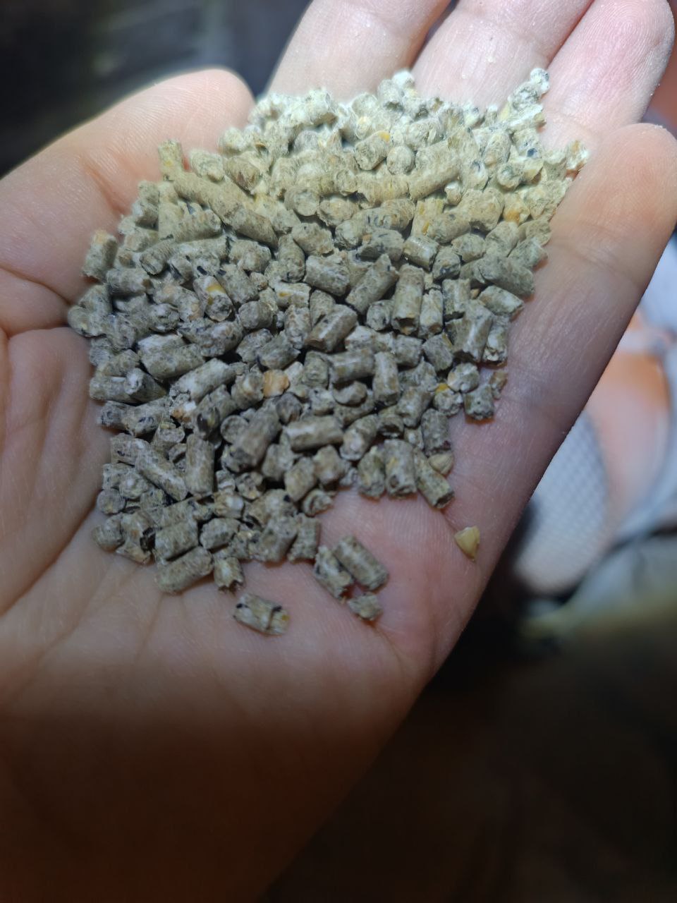 Комбикорм от производителя - Животные в Саратов