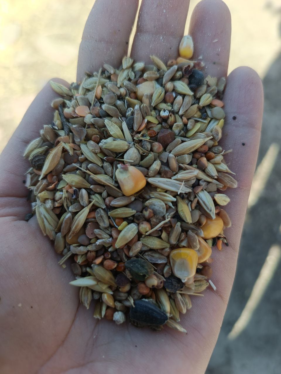 Комбикорм от производителя - Животные в Саратов - фото 3